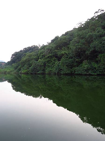 三坑自然生態公園之亂槍打鳥 (11).JPG