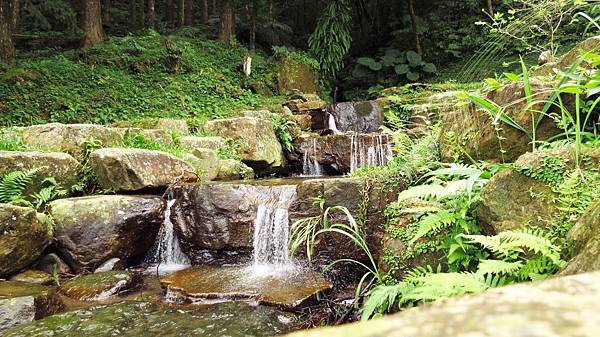 熊空茶園 臺灣農林 (3).jpg