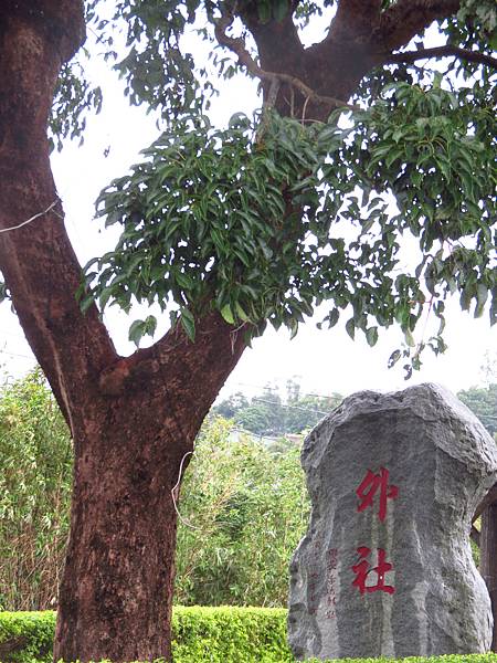 桃園蘆竹花彩節 (3).JPG