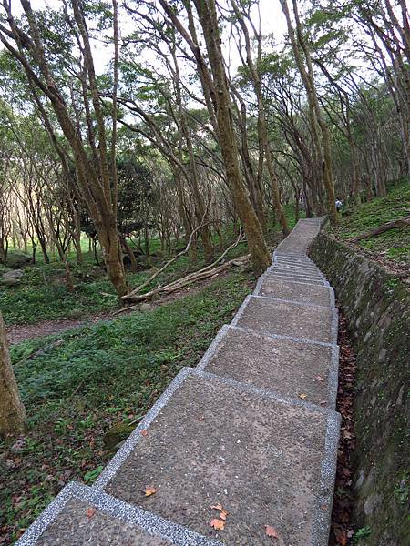 石門高線楓林步道 (9).JPG