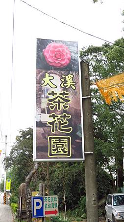 大溪茶花園 (1).JPG