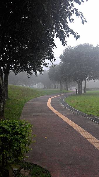 雲霧飄渺中的埔頂公園 (4).jpg