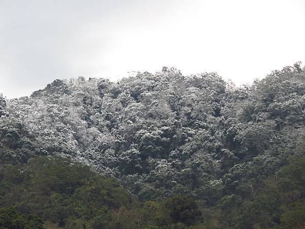 佛陀世界下雪了 (1).JPG