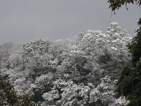 佛陀世界下雪了 (10).JPG