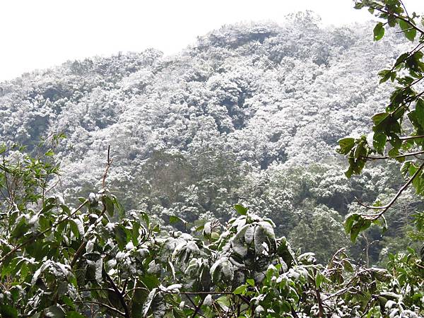 佛陀世界下雪了 (14).JPG