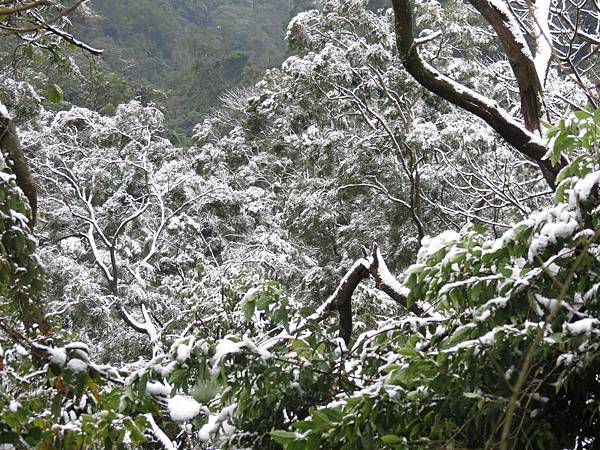 佛陀世界下雪了 (18).JPG