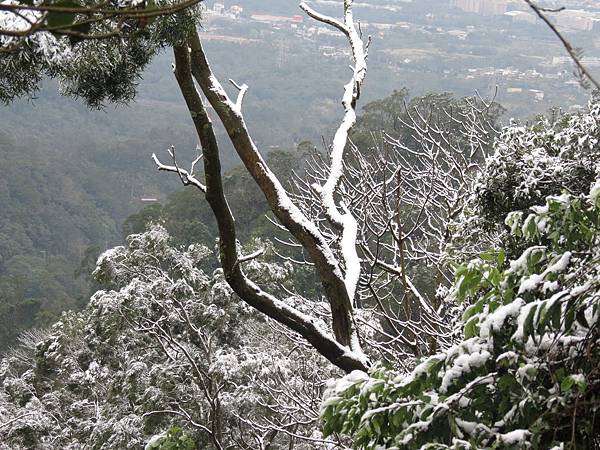 佛陀世界下雪了 (19).JPG