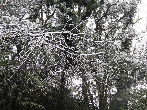 佛陀世界下雪了 (24).JPG