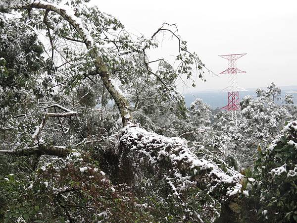 佛陀世界下雪了 (25).JPG