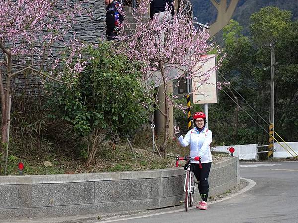 拉拉山櫻花勇士認證成功 (41).jpg