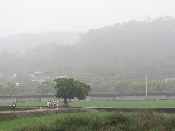 新埔 關西一日遊 (5).JPG