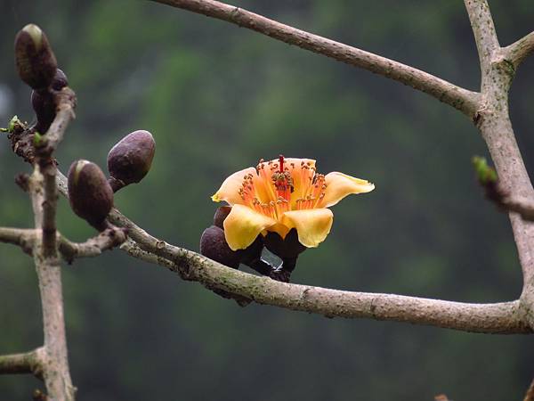 新埔 關西一日遊 (13).JPG