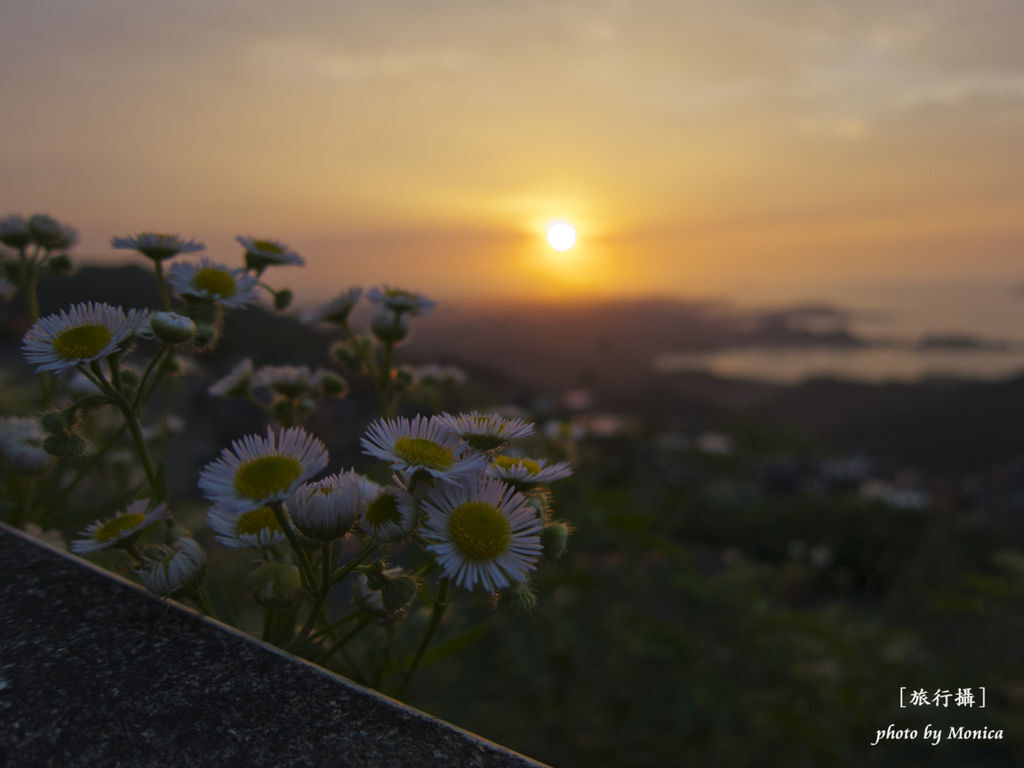 元氣小花