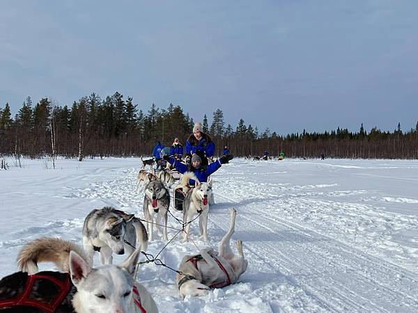 *(芬蘭極光)芬蘭旅遊/雪地桑拿馬車/哈士奇雪橇狗/聖誕老人