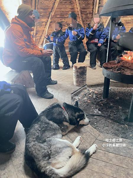 *(芬蘭極光)芬蘭旅遊/雪地桑拿馬車/哈士奇雪橇狗/聖誕老人