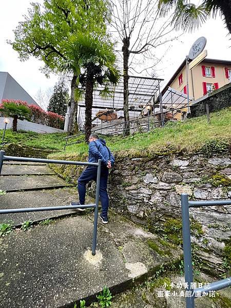 瑞士渡假聖地/盧加諾(Lugano)自由行就這樣玩/搭纜車上