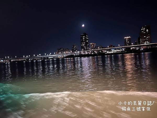 *飛魚3號 (包船遊河)遊船開趴,欣賞淡水河河畔夜景@小卡的