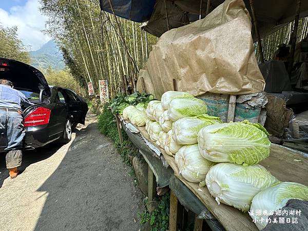 *溪頭美食/鹿谷鄉內湖村【現挖冬筍/高山蔬菜攤】超級無敵好吃