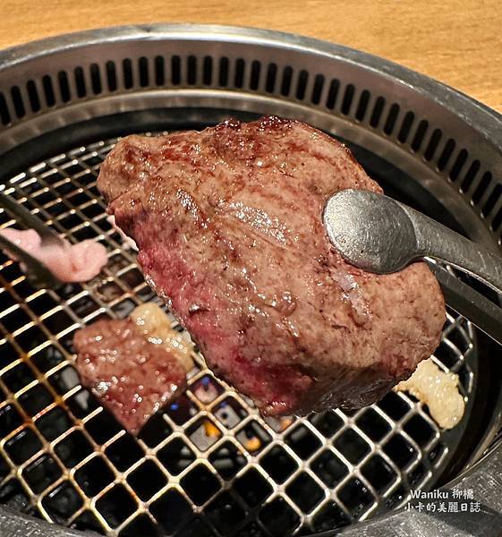 *名古屋美食【Waniku /柳橋燒肉わにく】神戶牛燒肉藝術