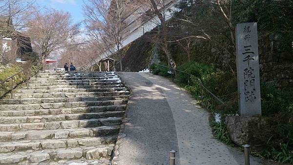 DSC_5519.jpg DSC_5519.jpg