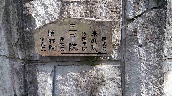 DSC_5515.jpg DSC_5515.jpg