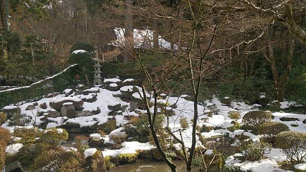 DSC_5541.jpg DSC_5541.jpg