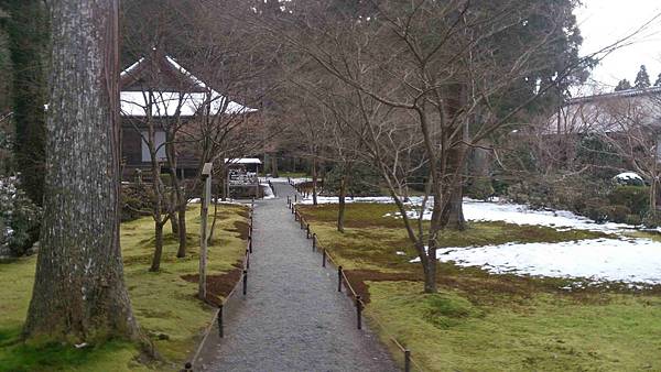 DSC_5569.jpg DSC_5569.jpg