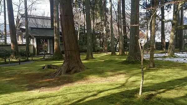 DSC_5582.jpg DSC_5582.jpg