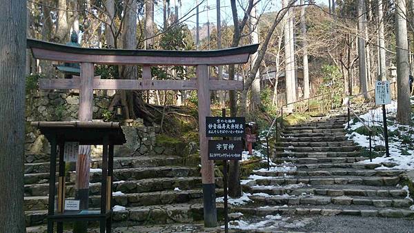 DSC_5593.jpg DSC_5593.jpg