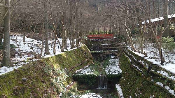 DSC_5601.jpg DSC_5601.jpg