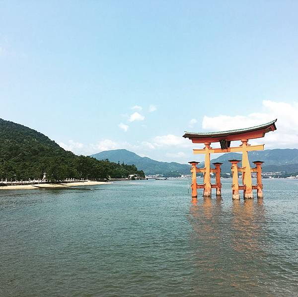 IMG_3880.JPG IMG_3880.JPG