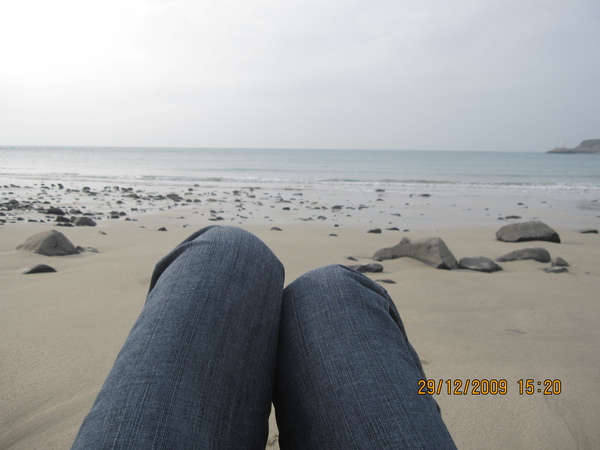 IMG_0323.JPG IMG_0323.JPG
