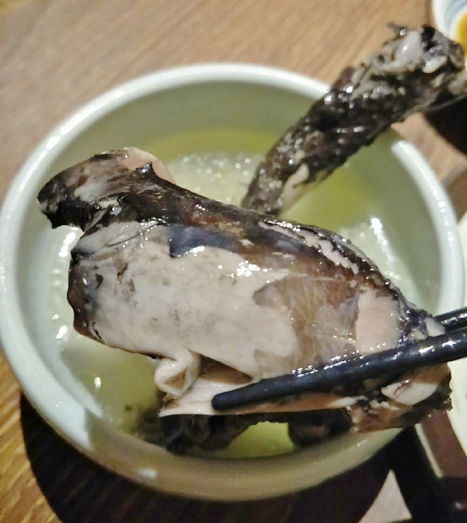 20190207 #1_190208_0019.jpg 20190207 #1_190208_0019.jpg