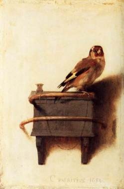 the goldfinch S