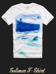 HOLLISTER MEN'S TEE