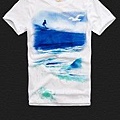 HOLLISTER MEN'S TEE