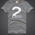 HOLLISTER MEN'S TEE