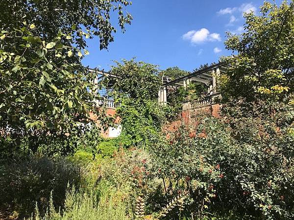 IMG_6930.jpg IMG_6930.jpg