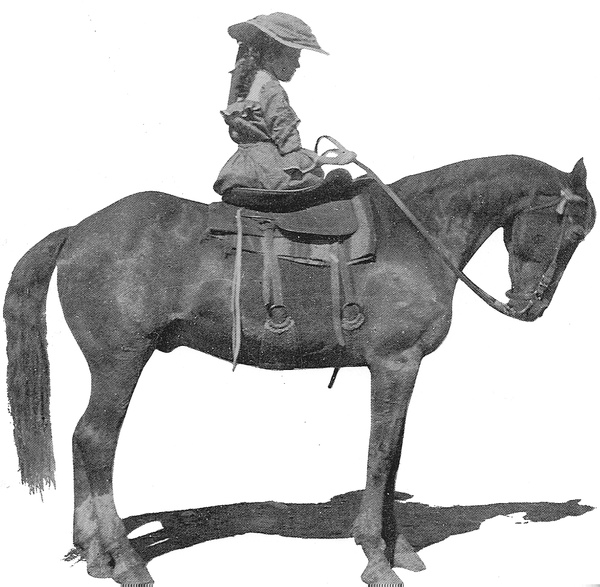 SideSaddle3.jpg