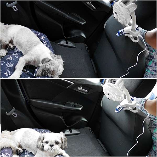 Momonga Latte 日本夾式電風扇 夏日消暑必備萌萌家小電扇 可愛造型白白棉花熊萌化你心 嗯飽日常 痞客邦