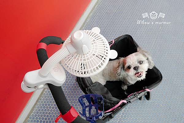 Momonga Latte 日本夾式電風扇 夏日消暑必備萌萌家小電扇 可愛造型白白棉花熊萌化你心 嗯飽日常 痞客邦