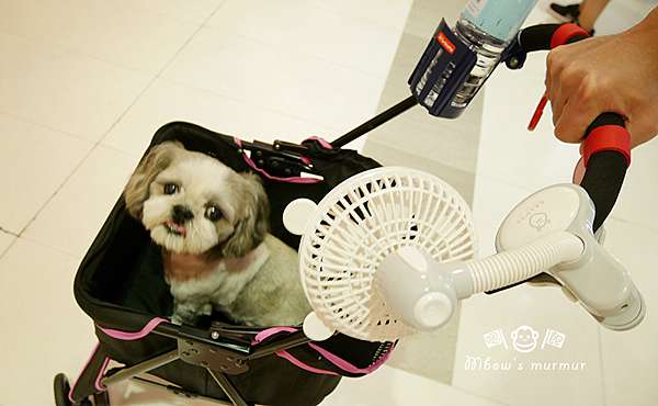 Momonga Latte 日本夾式電風扇 夏日消暑必備萌萌家小電扇 可愛造型白白棉花熊萌化你心 嗯飽日常 痞客邦