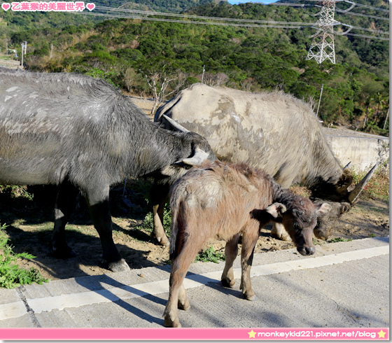 20140221墾丁夏都DAY2_6-9.jpg