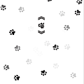 喵.png