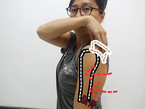 IMG_8831.JPG IMG_8831.JPG