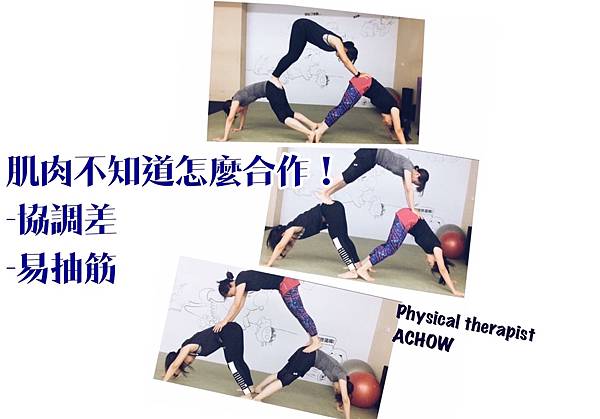 IMG_1102.JPG IMG_1102.JPG