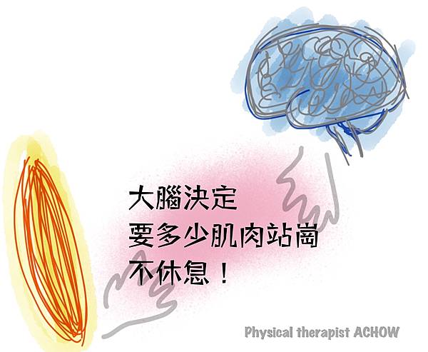 FullSizeRender 2.jpg FullSizeRender 2.jpg