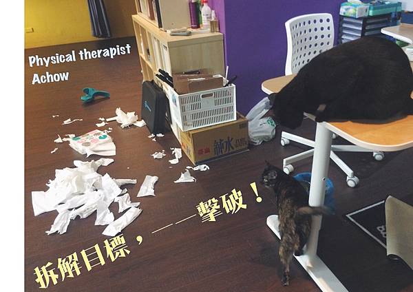 FullSizeRender 9.jpg FullSizeRender 9.jpg