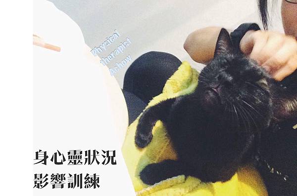 FullSizeRender.jpg FullSizeRender.jpg