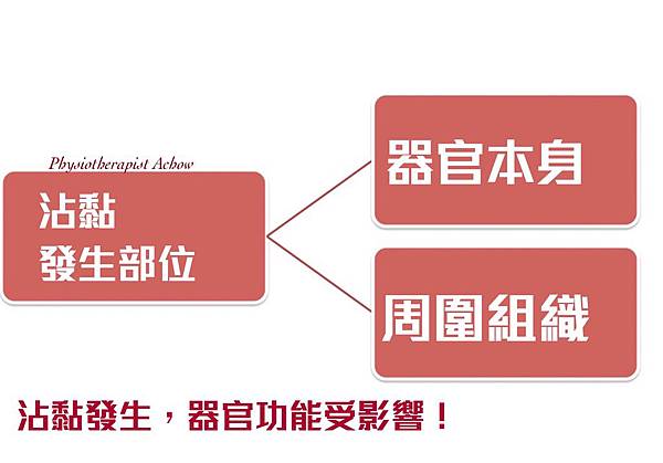 反覆腰痛?經痛?不孕?:子宮沾黏的原因、症狀、與處理方式 器官沾黏